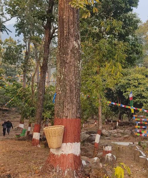 ल्होछार मेला लाग्ने स्थल र गुम्बा आयोजकद्वारा  दुलही झै चिटिक्क पारेर सिङ्गरिदै
