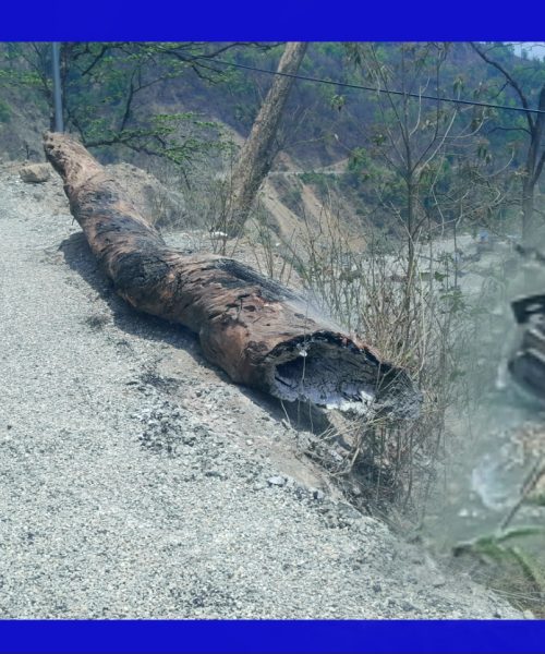 पिच गरिरहेको रोलर माथी  एक्कासी खस्यो जलिरहेको मुढा : रोलर खोलामा खस्यो