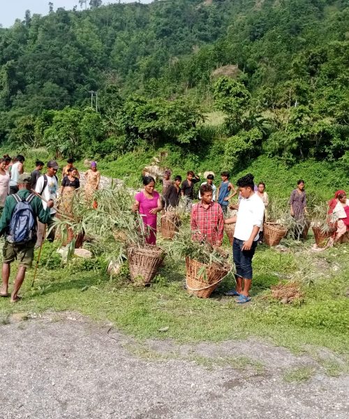 श्रमदान सहित बृक्षारोपणमा जुटे दक्षिणकाली सामुदायिक बन समुहका उपभोक्ता