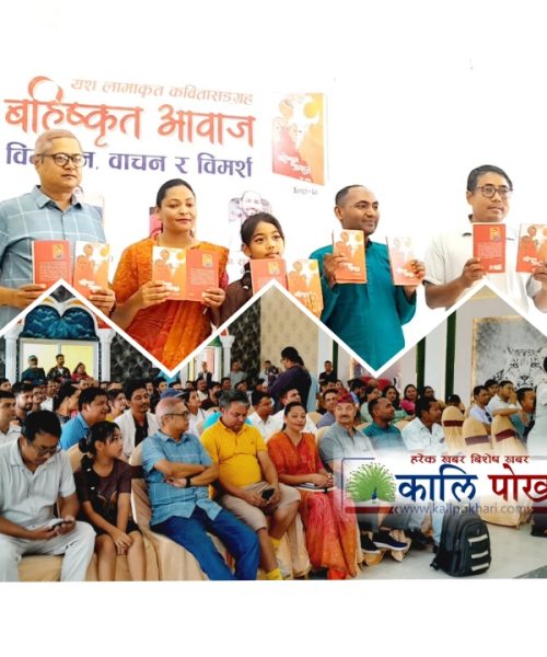 कवि यश लामाको कबिता संग्रह  “बहिष्कृत आवाज ” हेटौंडामा बिमोचन