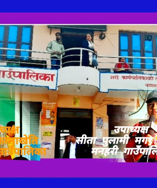 कृषिमा मनहरी गाउँपालिकाको ब्रेक थ्रु : पालिकालेनै  दुध संकलन गर्दै , किसानलाई राहत