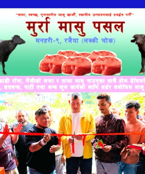 रजौयामा मुर्रा भैसिको मासु पसल खुल्यो वडा सरकार प्रमुख अधिकारीले गरे उद्घाटन