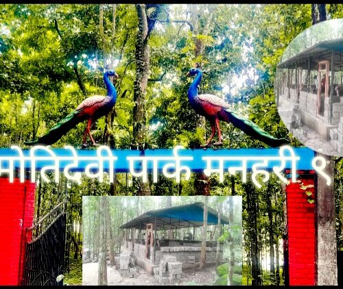 पार्क भित्र ब्यायसायिक भवन निर्माणको स्थानियद्वारा बिरोध , काम रोक्न वडा अध्यक्ष श्रेष्ठको निर्देशन