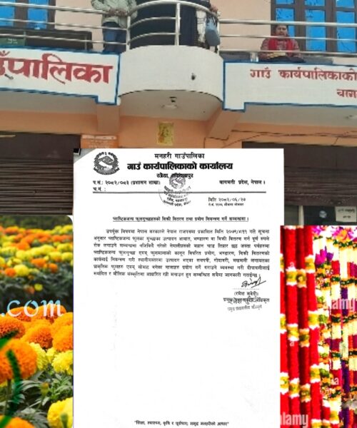 मनहरी गाउँपालिका भित्र तिहार तथा छठमा  प्लाष्टिक जन्य फुलमाला तथा गुच्छा बेच्न निषेध