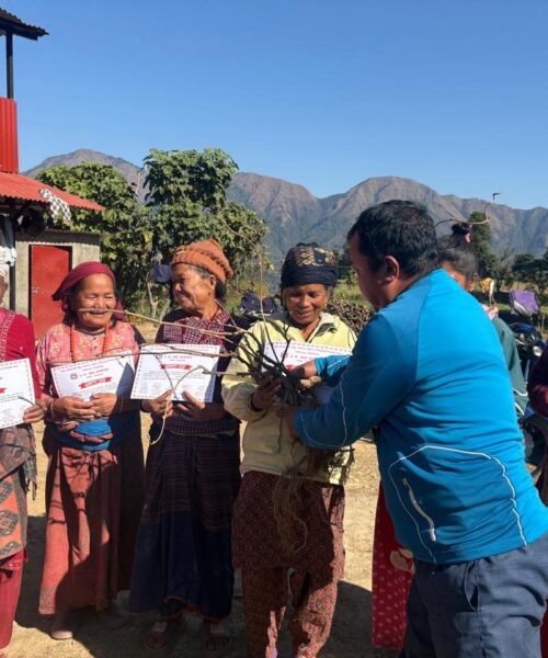 राक्सिराङ्ग ७ ले पालिकामै  पहिलो पटक किवी खेतीको तयारी स्वरुप तालिम तथा बिरुवा हस्तान्तरण