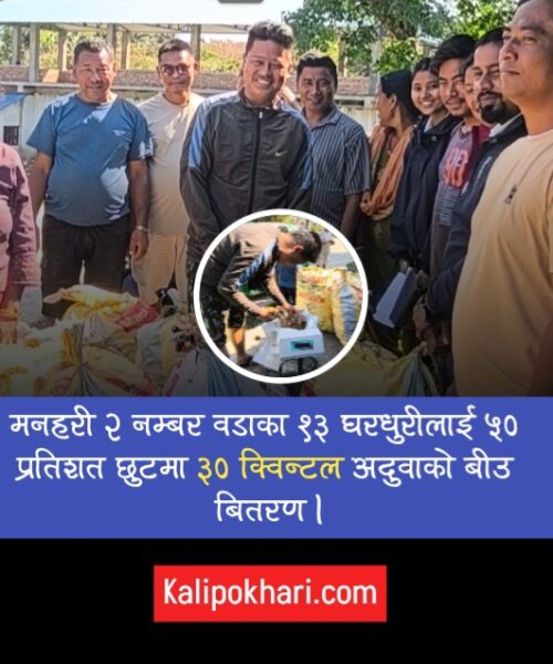 मनहरी २ का १३ घरधुरीलाई ५० प्रतिशत अनुदानमा  ३० क्विन्टल अदुवाको बीउ बितरण