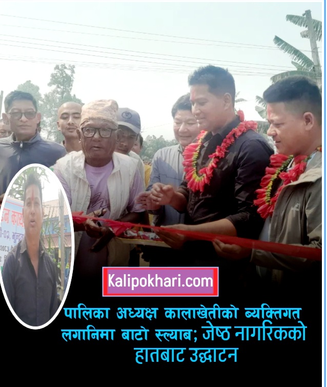 होमपेज