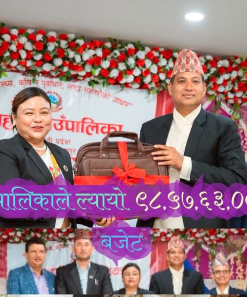 मनहरीले ल्यायो  अन्ठानब्बे करोडको नयाँ बजेट,पुर्वाधार बिकास तर्फ सबै भन्दा बढी खर्च गरिने