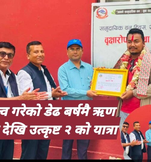 घाटामा गएको वनलाई स्याङ्तानले  डेढ बर्षमै ऋण मुक्त सहित  उत्कृष्ट दुईमा पुर्‍यायो